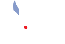 Mimus webdesign